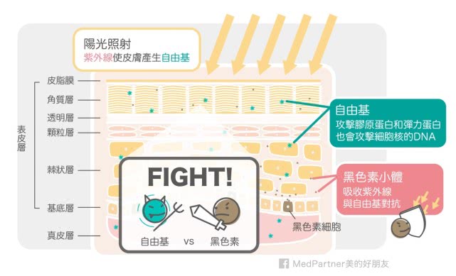 皮肤白里透红属于什么皮肤,白里透红的皮肤怎么打底