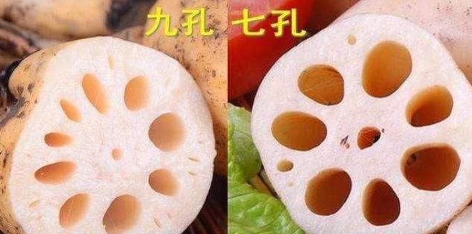 买莲藕牢记这4点再也不会买错,买莲藕要擦亮眼睛