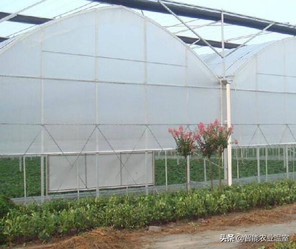 毕节蔬菜薄膜连栋温室大棚,陕西连栋薄膜温室大棚销售