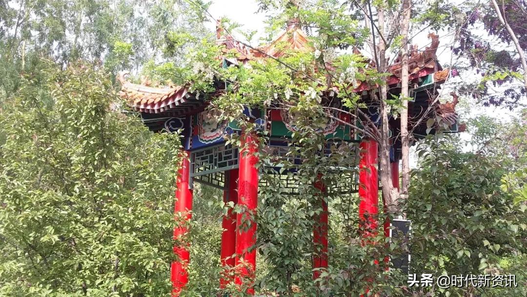 北洋小学灵丘招生,灵丘市北洋小学多少学费