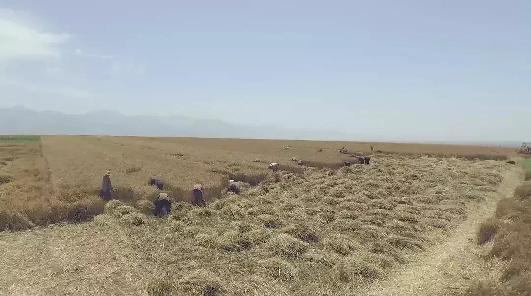 一个逃难到临潼的风水先生和我们家族80年的命运