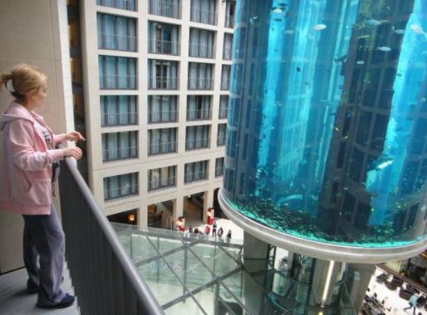 全球唯一一个巨型鱼缸,全球最长最大的海洋鱼缸建造过程