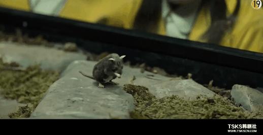 韩国十大真实事件改编电影素媛,改编自震惊全韩国的真实案件