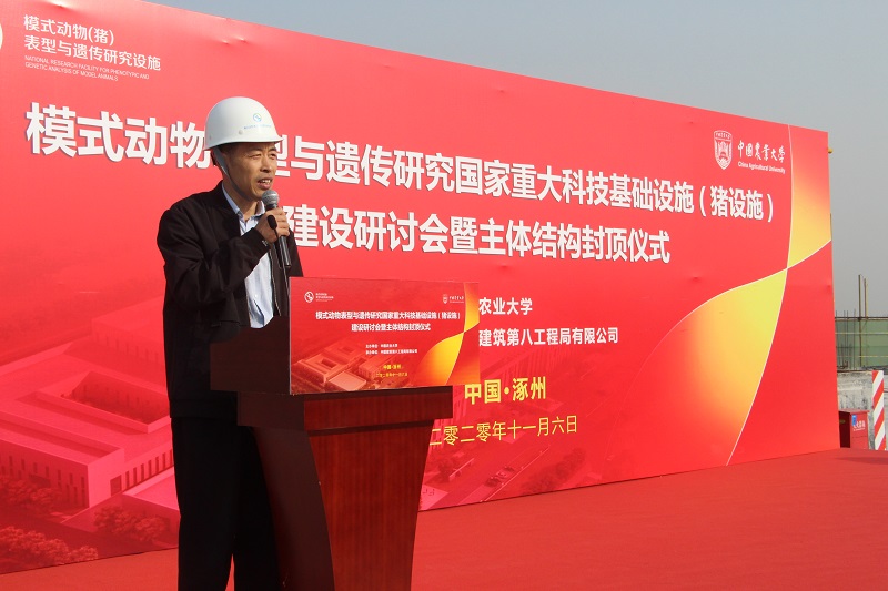 庆祝房建工程封顶完成,主体结构封顶完成工程百分比