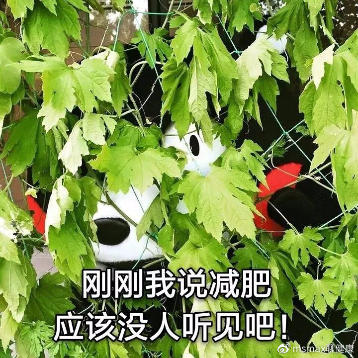 哥本哈根减肥法前3天,哥本哈根食谱瘦多少