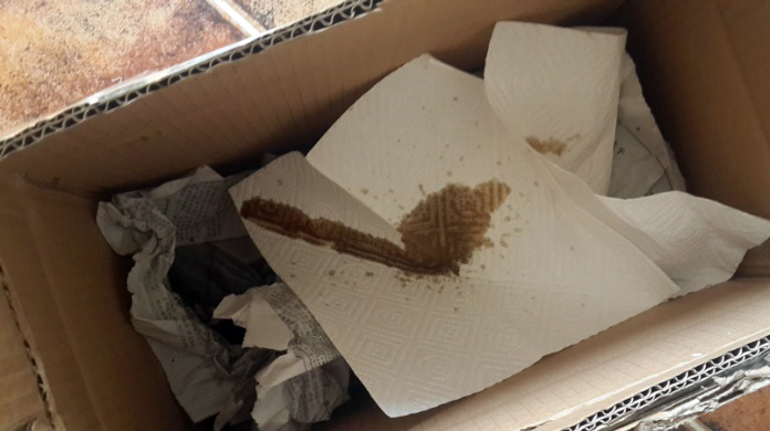 陈枝记铁锅和炊大皇哪个好,陈枝记和苏泊尔