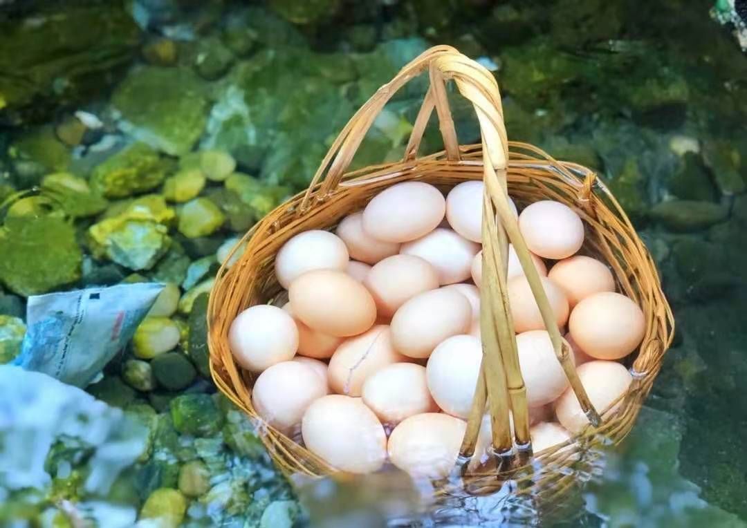 成都到康定木格措旅游攻略,康定木格措景区19号免费吗