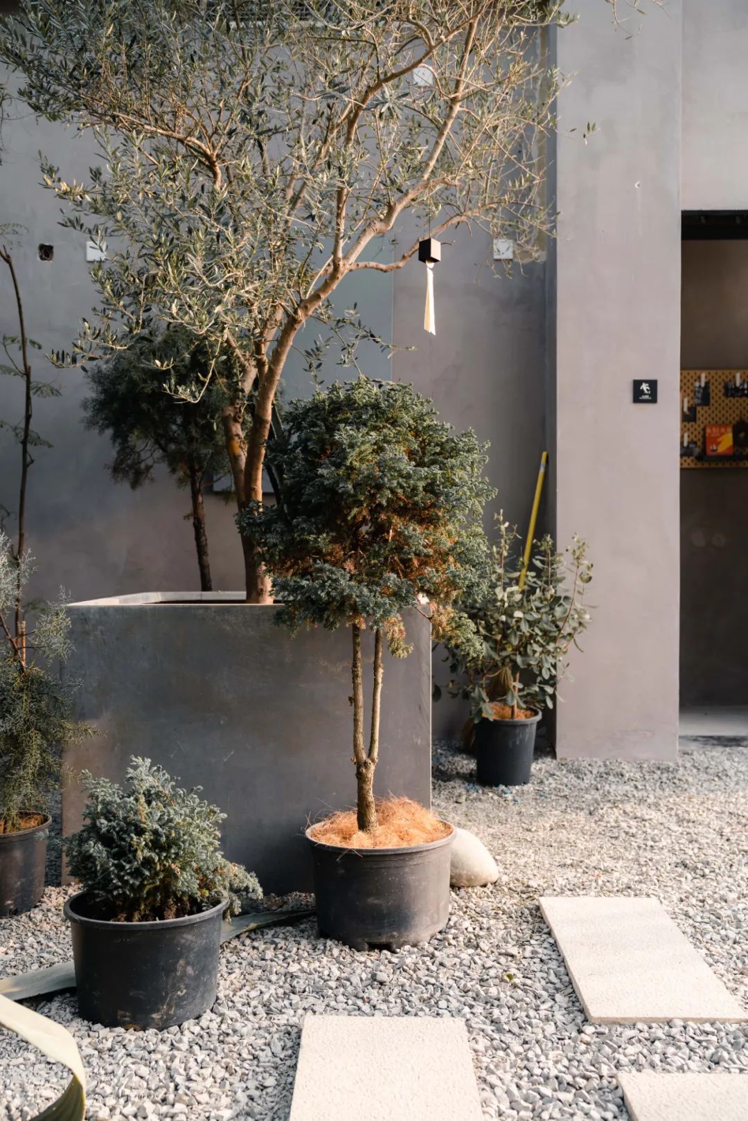 京城首家！探秘最热门“一尺花园”咖啡馆，西山脚*体下**会海派腔调