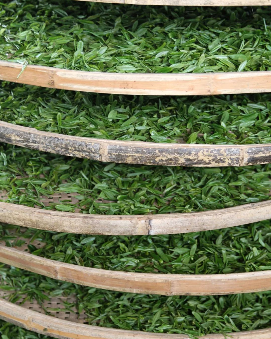 信阳人和河南人的关系,河南人与信阳人