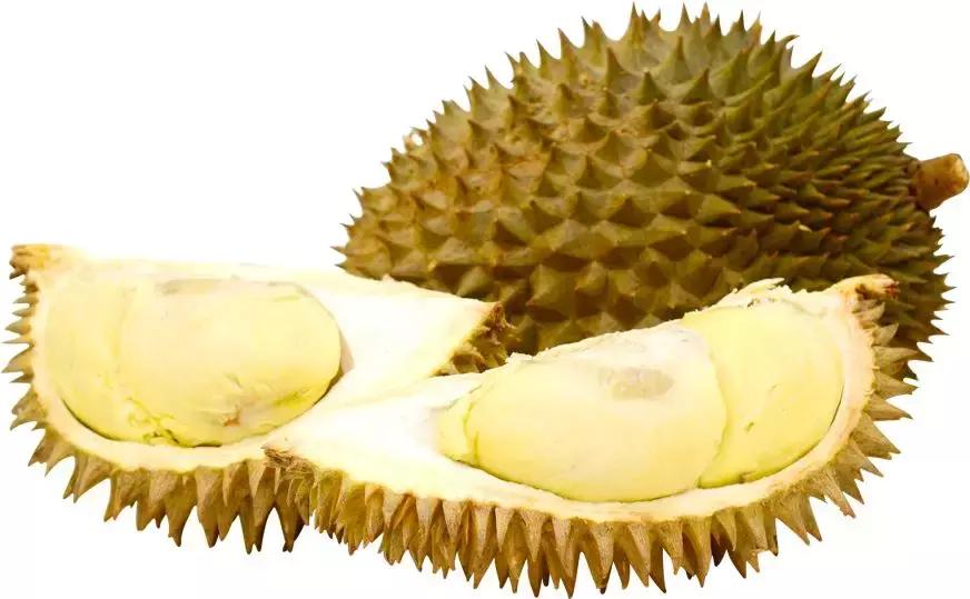 携带危险物品乘车处罚,在机场登机被通知签证取消