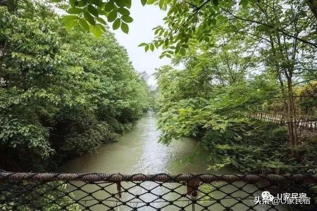 成都首家野奢帐篷酒店，高颜值避世野宿，帐篷听雨树屋观星