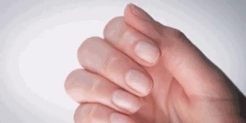 美白保湿的珍珠粉哪种比较好,十几块钱珍珠粉靠谱吗