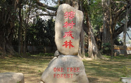 中缅边境游玩攻略,中缅边城瑞丽旅行