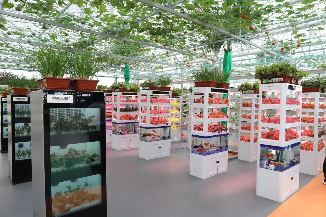 乡村振兴十大特色项目可研报告,乡村振兴百村示范项目