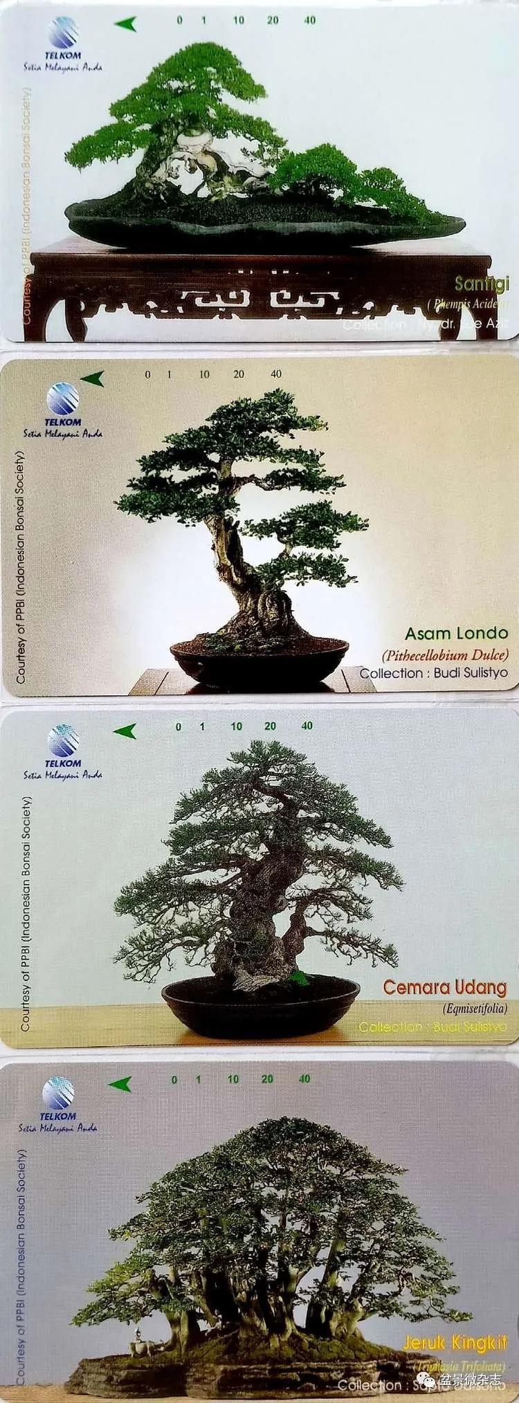 鐩嗘櫙鑱旂郴鐢佃瘽,鐩嗘櫙鑱旂郴鐢佃瘽鍙风爜