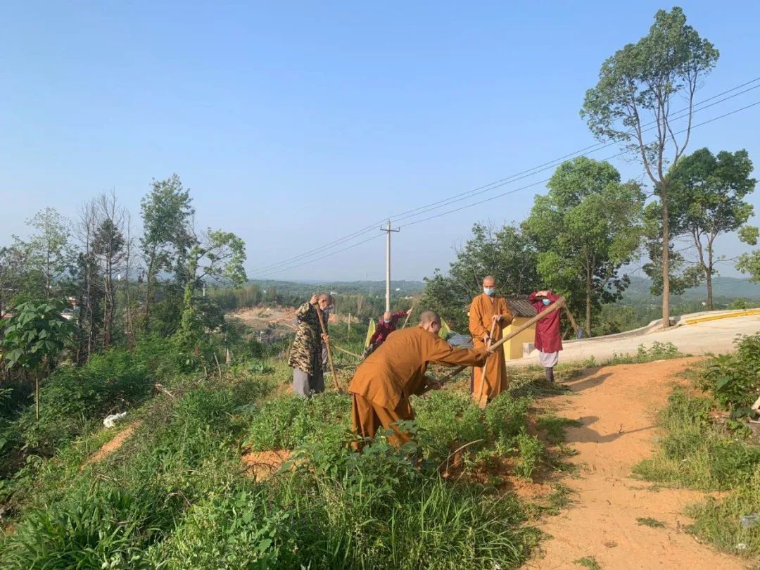 抢抓农时开展农业生产,农民纷纷抢抓春耕生产有利时机