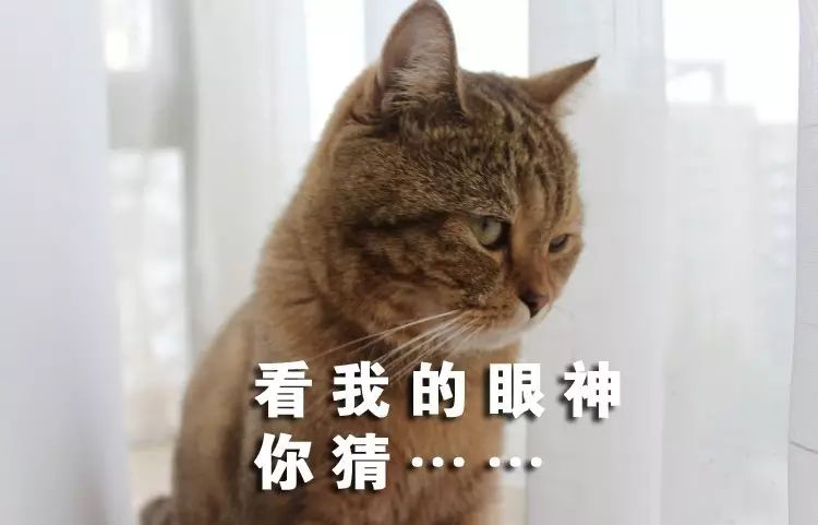 pvc塑料绿植,绿植盆里的塑料