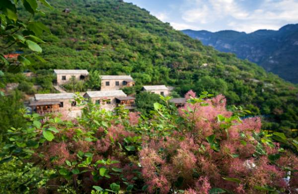 北京文旅发布京郊游攻略清凉一夏,20条金秋旅游季京郊线路发布