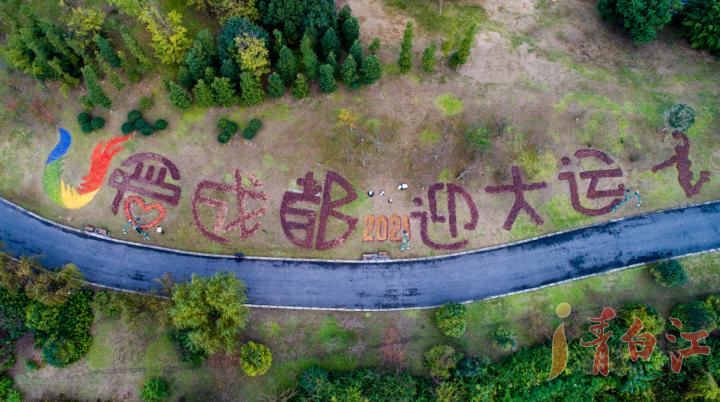 成都大运会会徽景观图片,2024成都大运会会徽太阳鸟图片