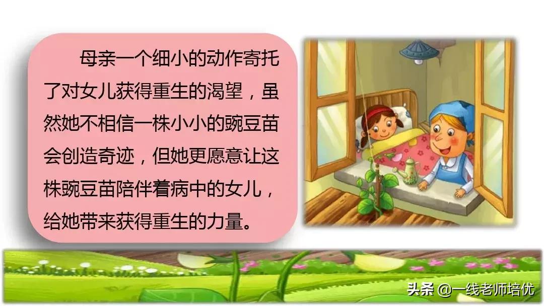 四年级上册豆荚里的五粒豆笔记,一个豆荚里的五粒豆四年级课文