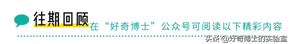 一只鸡难倒一群狗,一只鸡能有什么坏心思