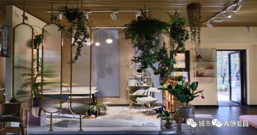 北京大型室内儿童游乐场,北京露天游乐场地设计