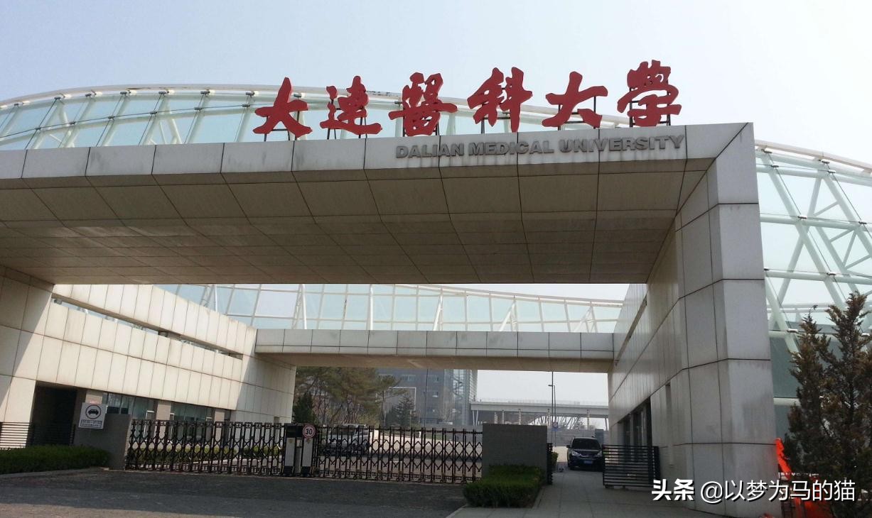 中国医科大学最好的专业排名榜,这六个医学专业很吃香