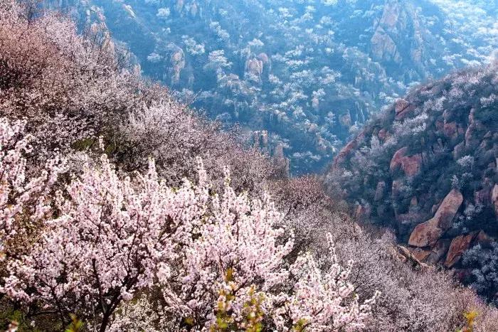 北京昌平区旅游必去十大景点推荐,昌平周末游玩推荐景点攻略