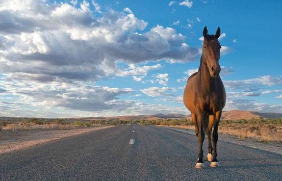 总有一款适合你音乐,必点歌曲top10