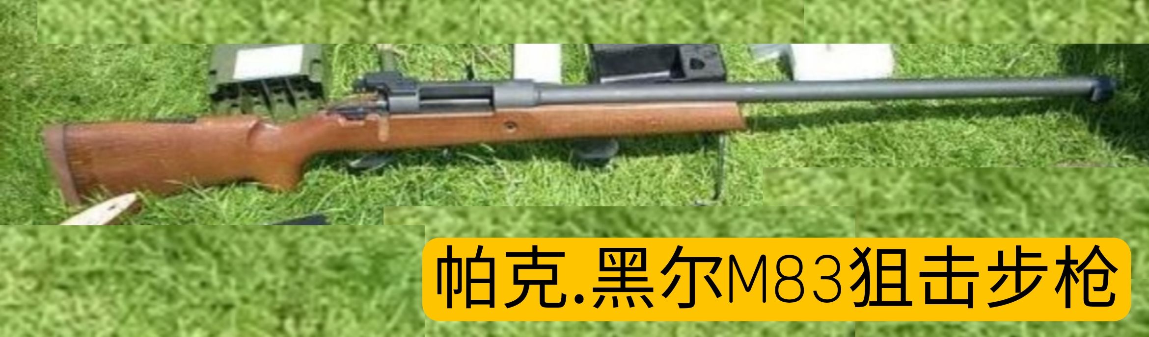 英国枪械发展史,英国枪械大全视频