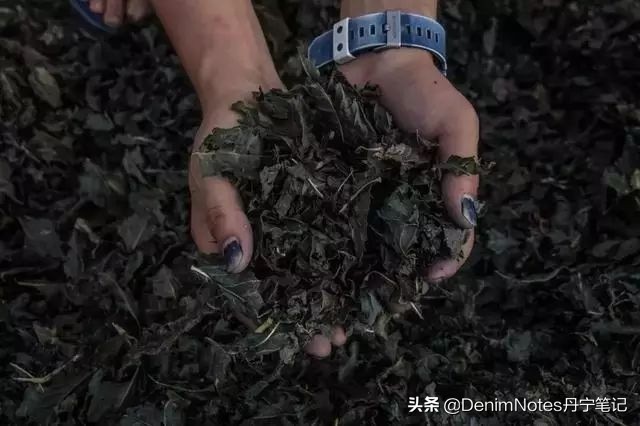 牛仔裤褪色了可以重新染色吗,牛仔裤褪色一般是什么颜色