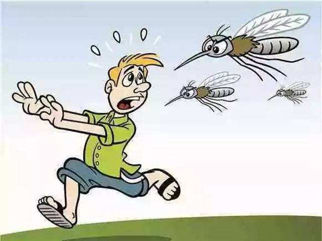 蚊子吸蚊体质怎么消除,易招蚊子体质怎么防蚊