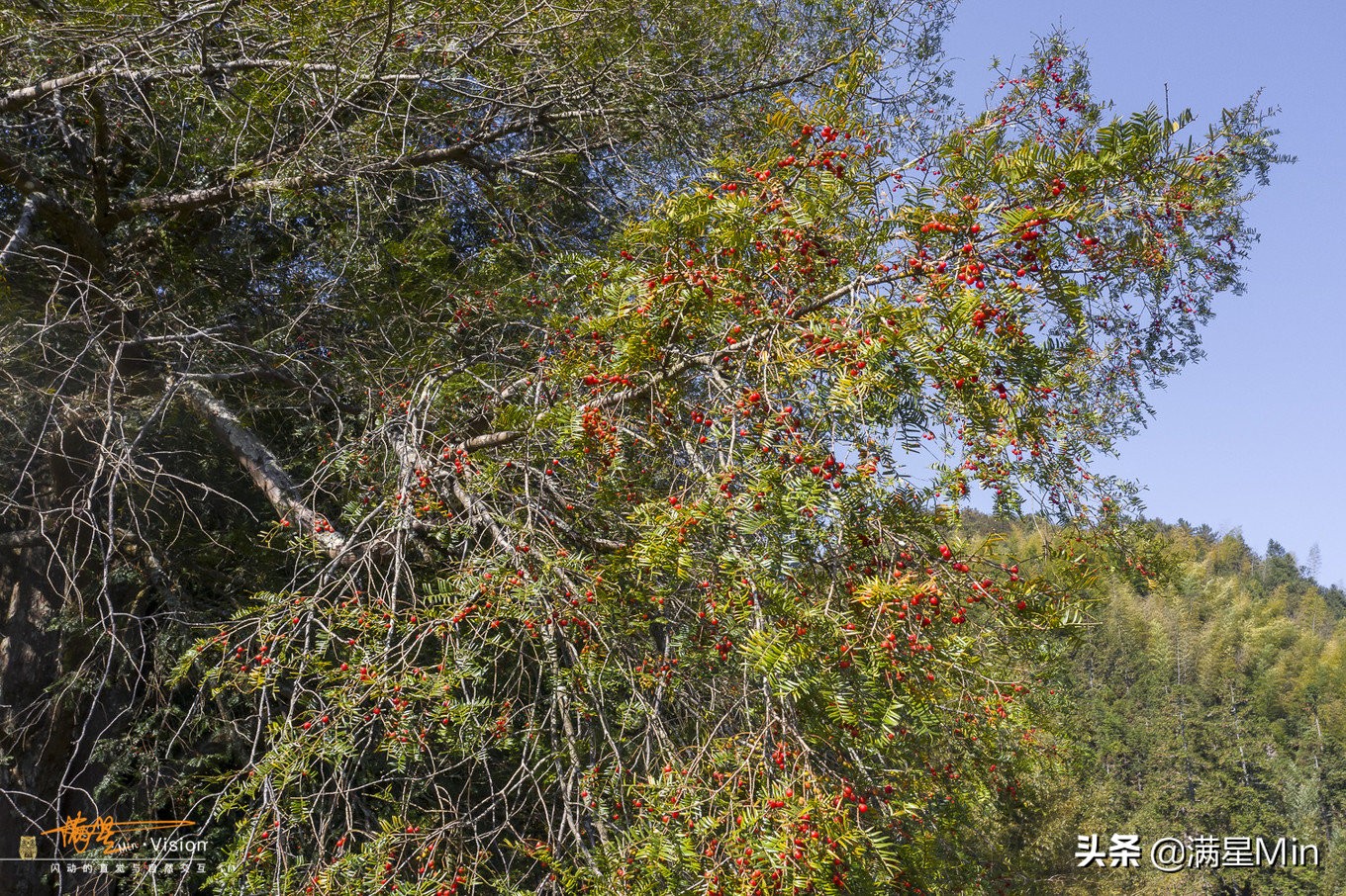 郴州最美的民宿,郴州那山那水酒店