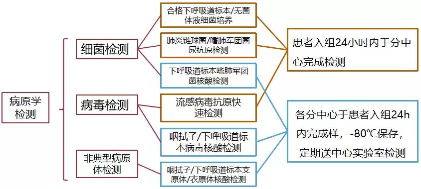 免疫正常成年CAP患者，非流感与流感病毒性肺炎病情严重程度相似