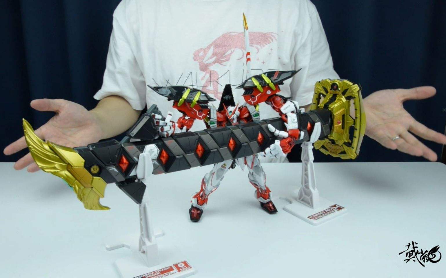高达模型网络限定为什么这么贵,高达模型入坑该按照什么顺序买