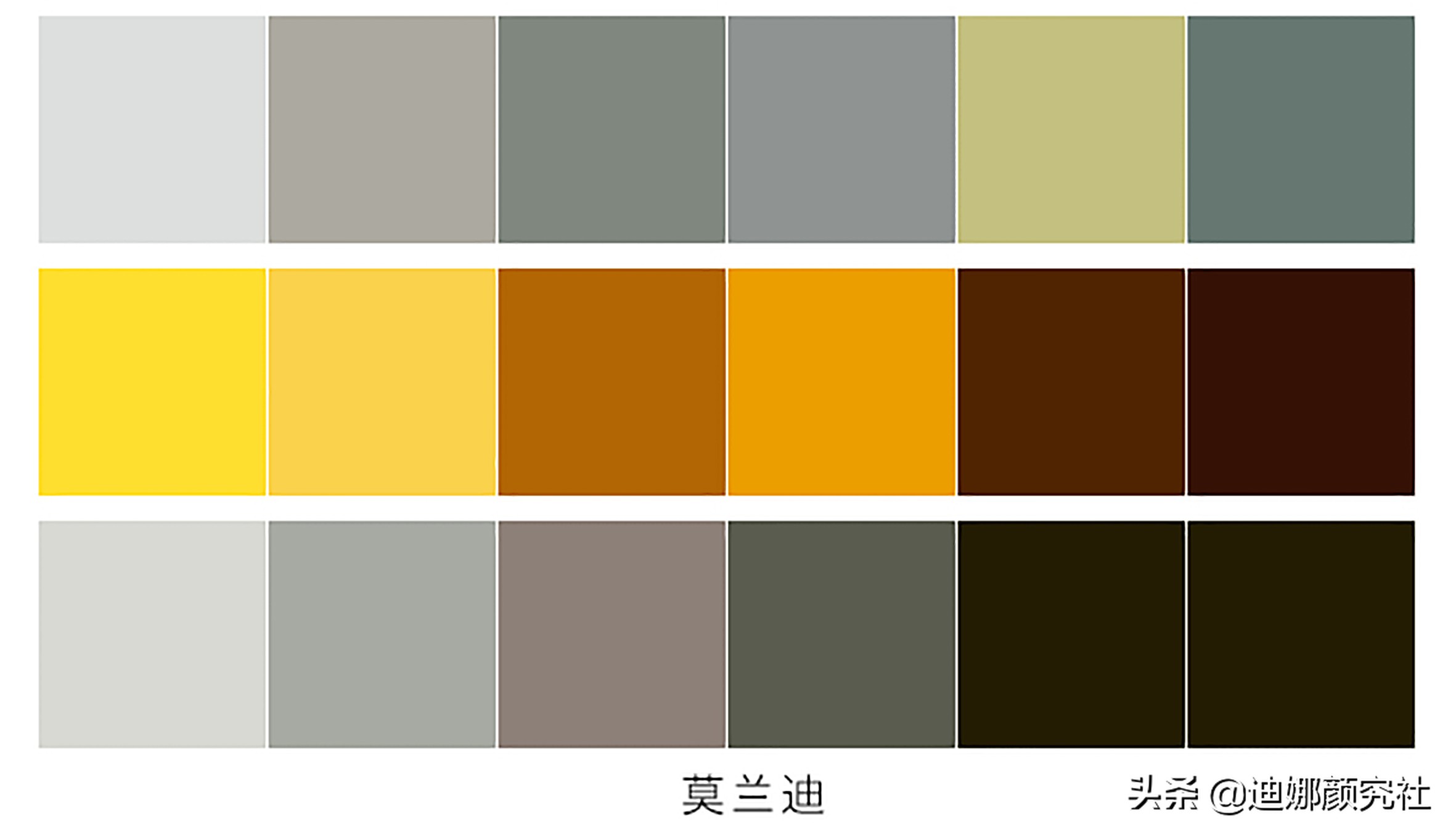 买衣服不会看吊牌，迪娜教你哦