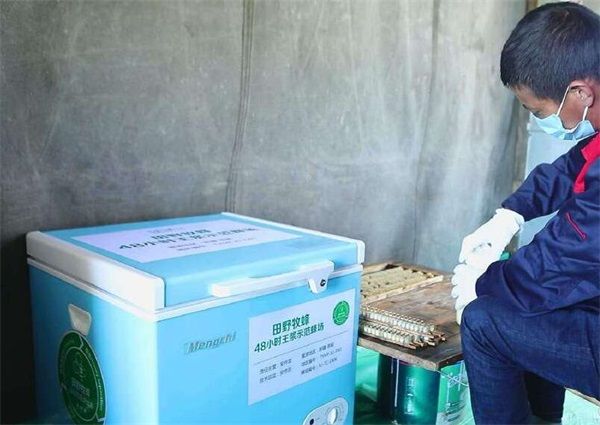 蜂王浆必须冷藏发货吗,蜂王浆快递会坏吗