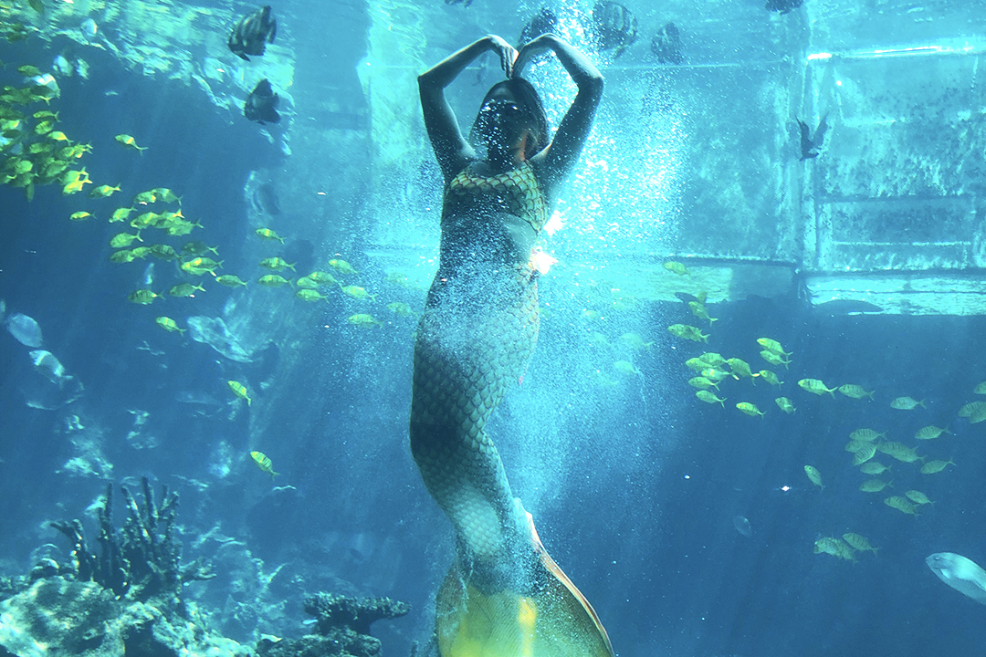 洲际海棠湾酒店,洲际酒店三亚