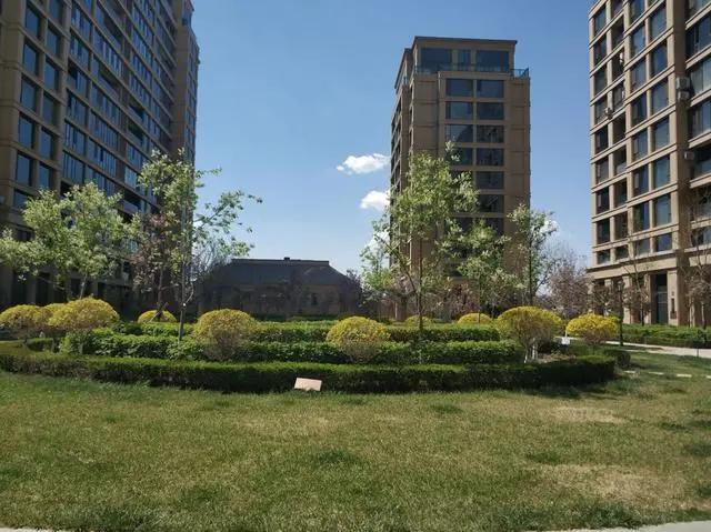 绿地城二期绿化乌鲁木齐,乌鲁木齐中海万锦公馆绿化环境