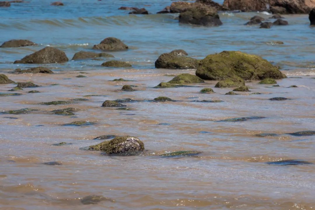 深圳少见的“十里银滩”，美到无边