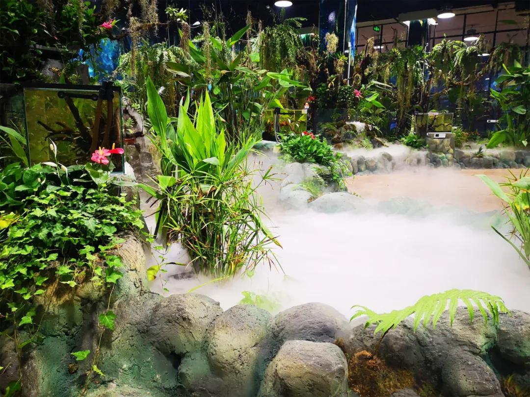 这个季节适合去济南哪旅游,济南十一假期游玩攻略