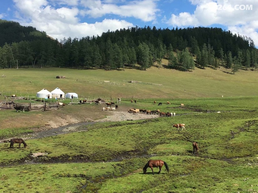 北疆骑行最佳路线一周,骑行伊犁独库公路详细攻略