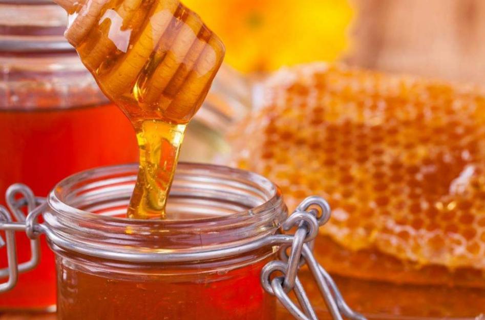 狗狗要喝什么水,狗狗每天喝几次水最好