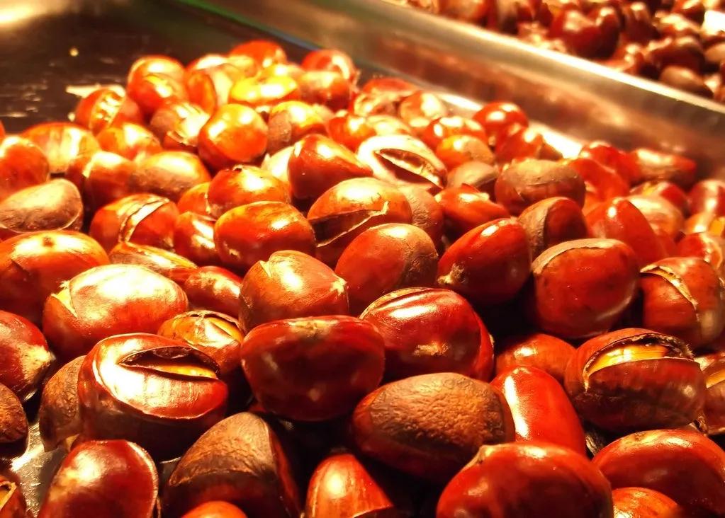 天津人不用努力也能过得很好 (天津人之前的心情和现在心情)