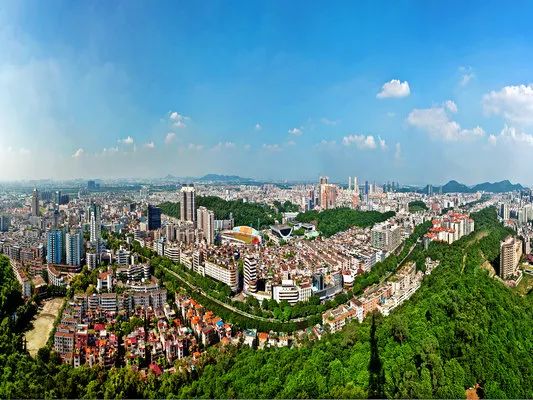 佛山顺德四小虎,四小虎之一顺德