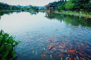 闀挎矙甯傞暱娌欏幙鍐滄潙,闀挎矙甯傞暱娌欏幙娓哥帺