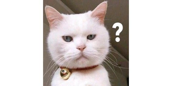 猫砂丢干垃圾还是湿垃圾,猫砂和猫屎可以扔垃圾桶吗