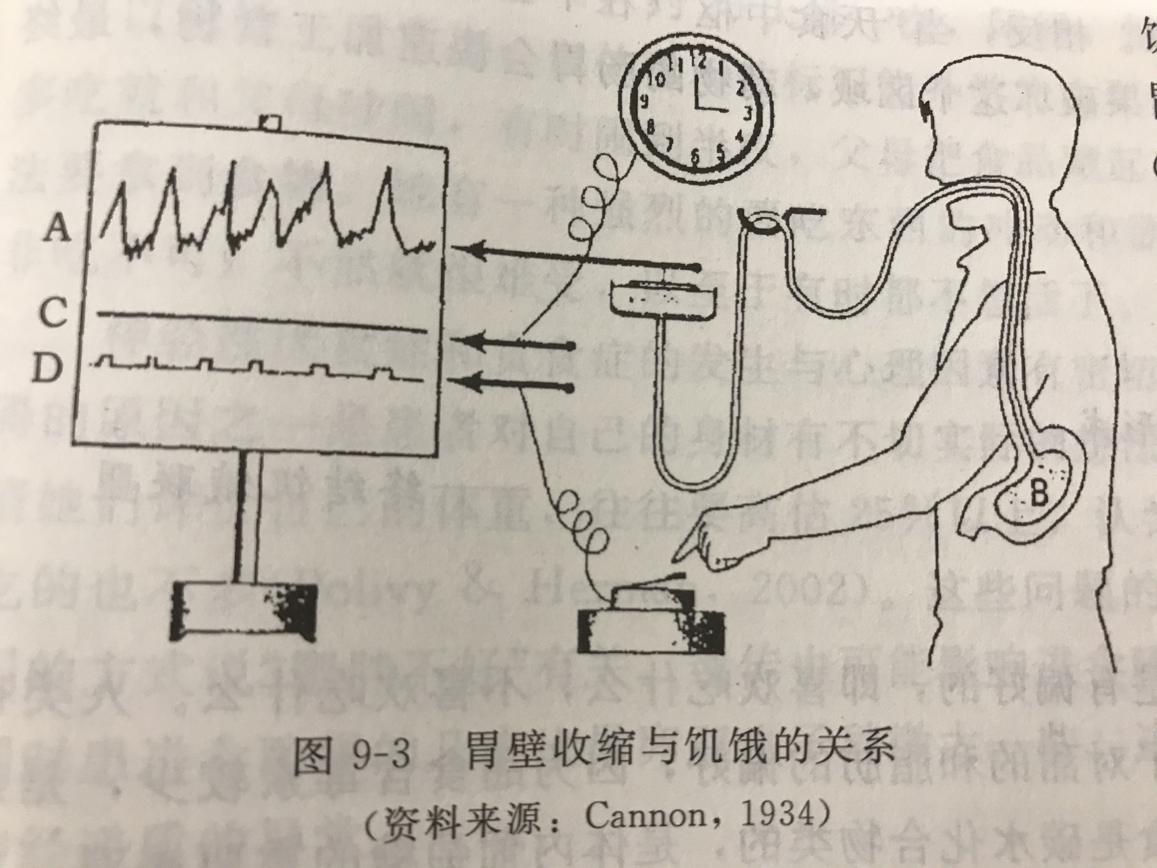 把气球吞到肚子里打气视频,把气球吞到肚子里再吹气