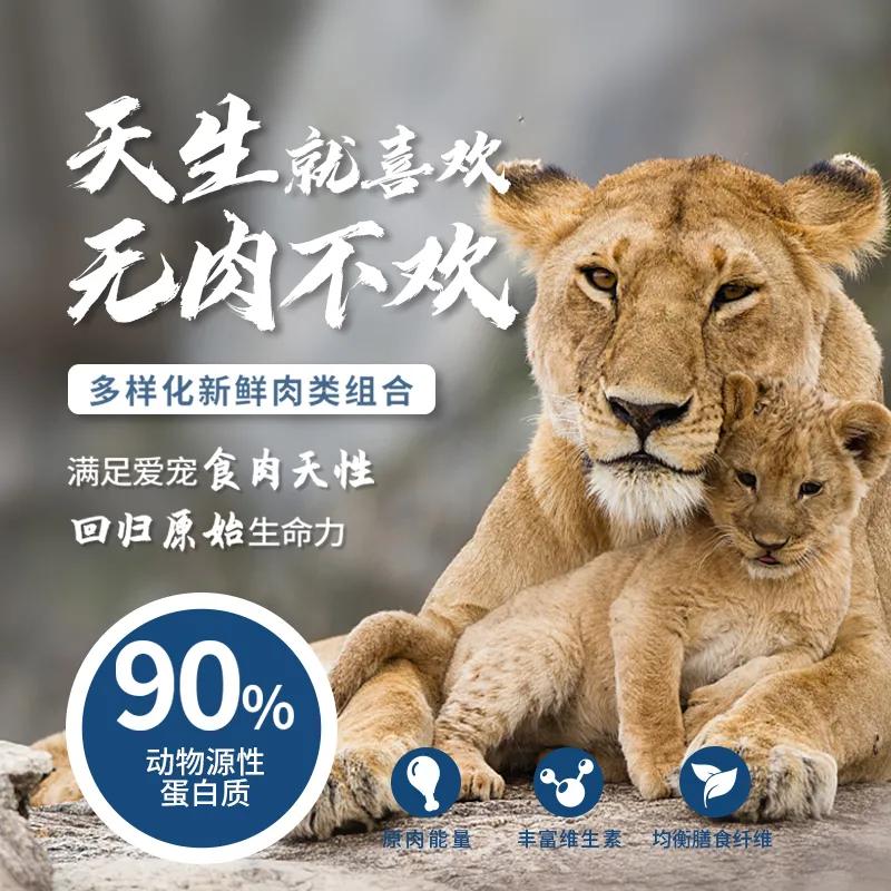 不办狗证狗被抓,不办狗证的狗被抓走会怎样