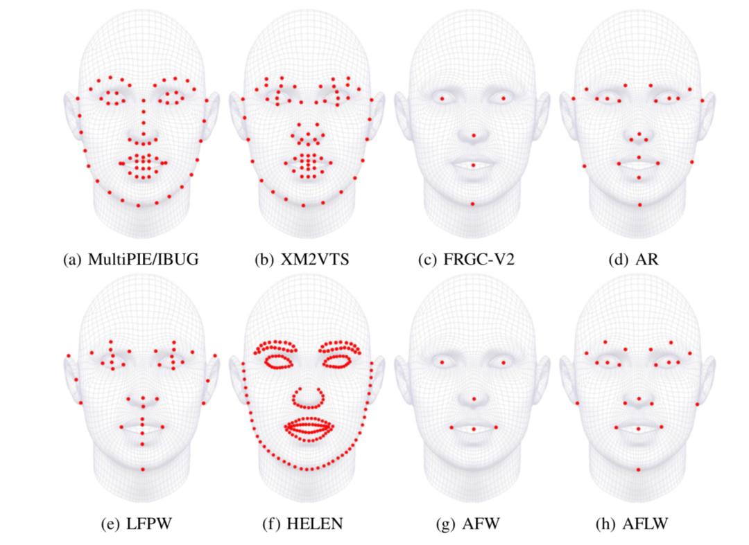 超两万字的最全人脸数据集介绍汇总，从人脸检测到人脸风格化